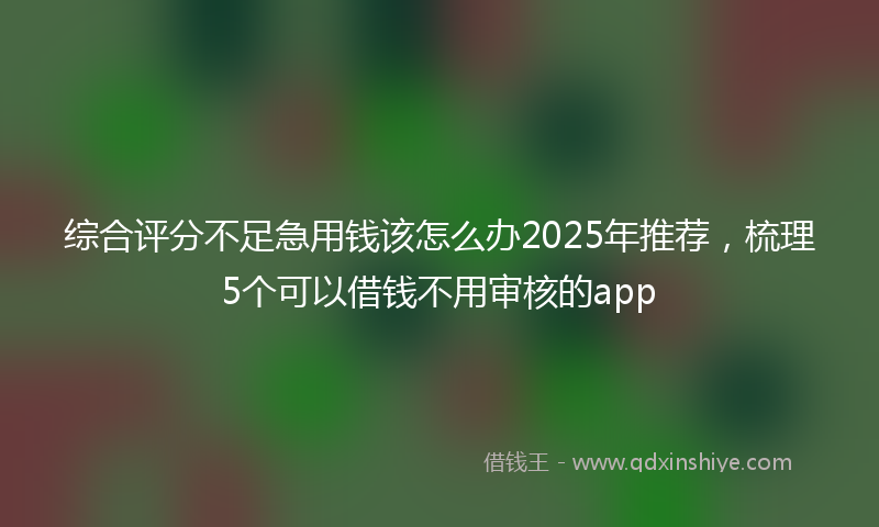 综合评分不足急用钱该怎么办2025年推荐，梳理5个可以借钱不用审核的app