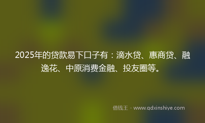 2025年的贷款易下口子有：滴水贷、惠商贷、融逸花、中原消费金融、投友圈等。