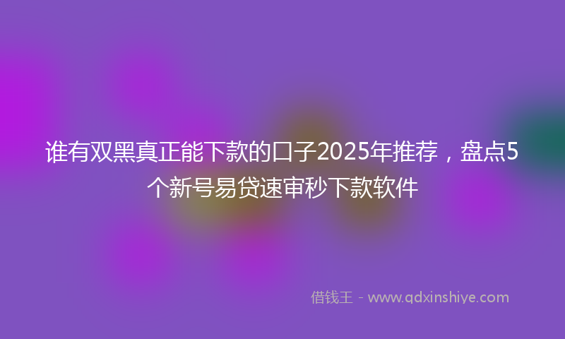 谁有双黑真正能下款的口子2025年推荐，盘点5个新号易贷速审秒下款软件
