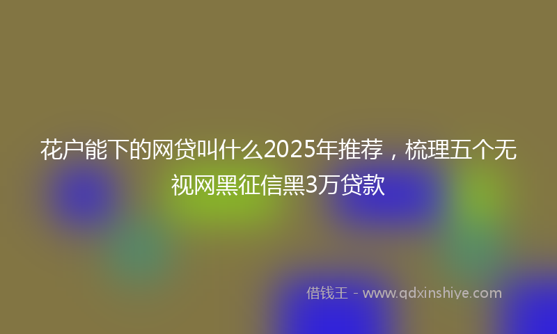 花户能下的网贷叫什么2025年推荐,梳理五个无视网黑征信黑3万贷款