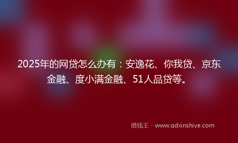 2025年的网贷怎么办有：安逸花、你我贷、京东金融、度小满金融、51人品贷等。