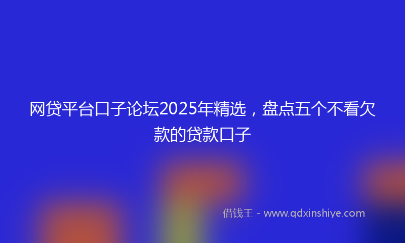 网贷平台口子论坛2025年精选，盘点五个不看欠款的贷款口子