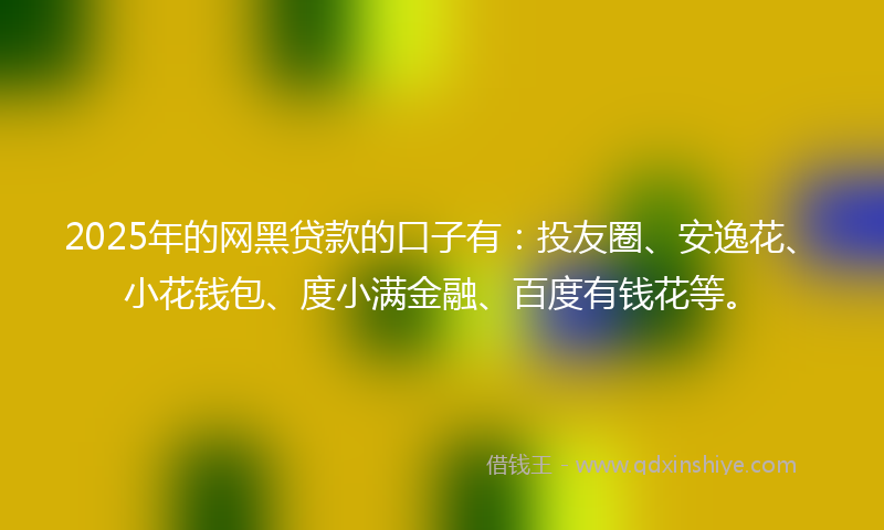 2025年的网黑贷款的口子有：投友圈、安逸花、小花钱包、度小满金融、百度有钱花等。