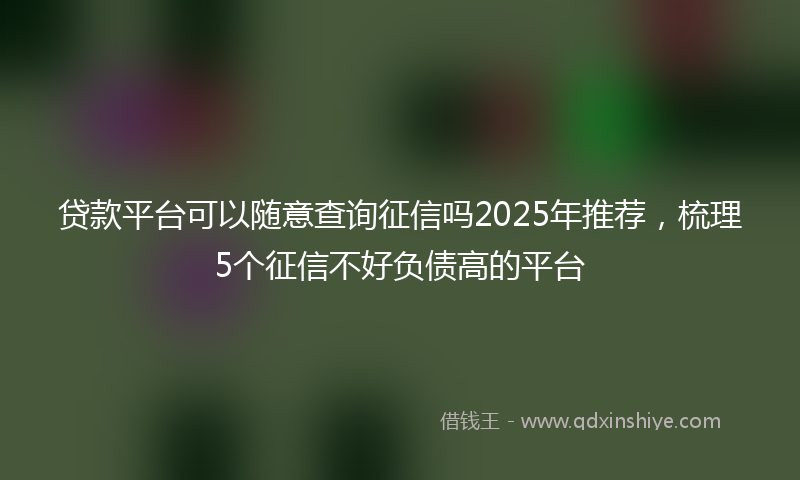 贷款平台可以随意查询征信吗2025年推荐，梳理5个征信不好负债高的平台