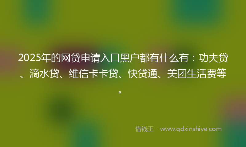 2025年的网贷申请入口黑户都有什么有：功夫贷、滴水贷、维信卡卡贷、快贷通、美团生活费等。