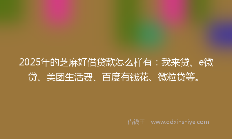 2025年的芝麻好借贷款怎么样有：我来贷、e微贷、美团生活费、百度有钱花、微粒贷等。