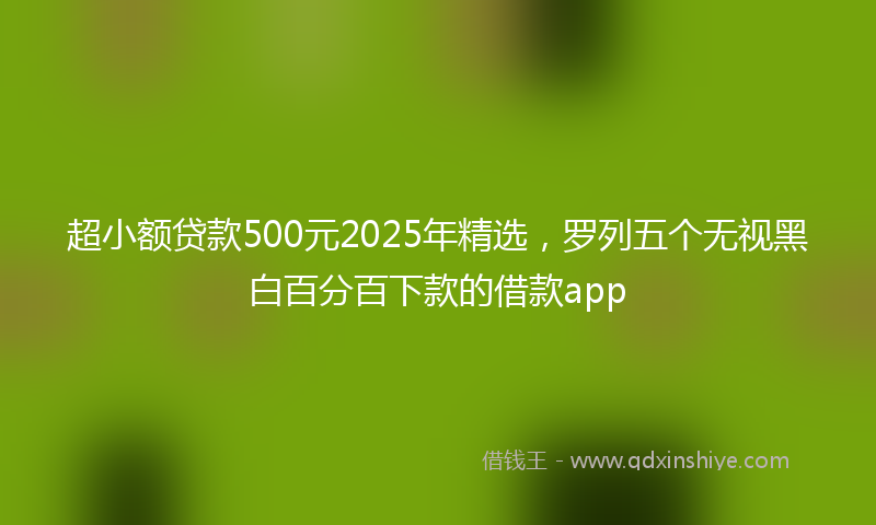超小额贷款500元2025年精选，罗列五个无视黑白百分百下款的借款app