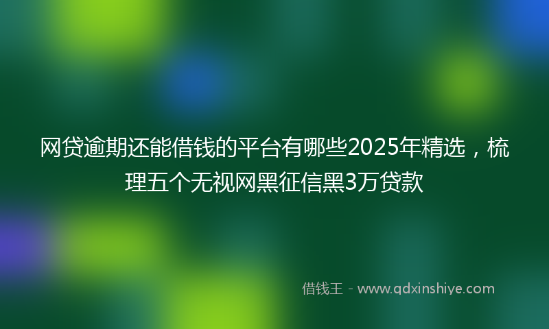 网贷逾期还能借钱的平台有哪些2025年精选，梳理五个无视网黑征信黑3万贷款
