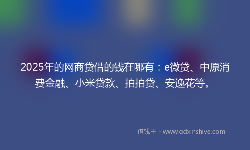 2025年的网商贷借的钱在哪有：e微贷、中原消费金融、小米贷款、拍拍贷、安逸花等。