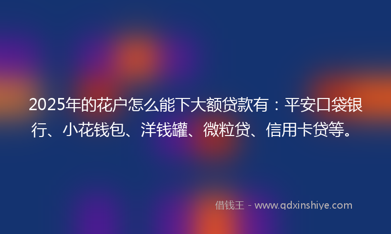 2025年的花户怎么能下大额贷款有：平安口袋银行、小花钱包、洋钱罐、微粒贷、信用卡贷等。
