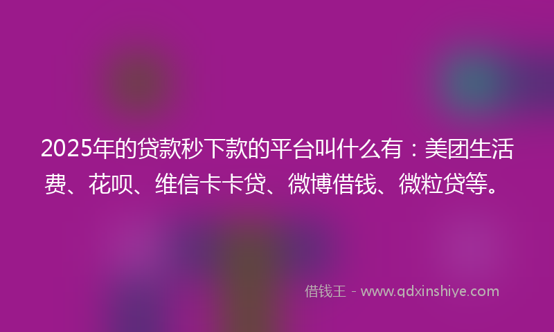 2025年的贷款秒下款的平台叫什么有：美团生活费、花呗、维信卡卡贷、微博借钱、微粒贷等。