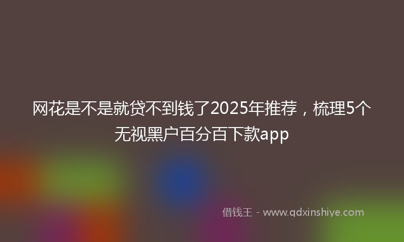 网花是不是就贷不到钱了2025年推荐，梳理5个无视黑户百分百下款app