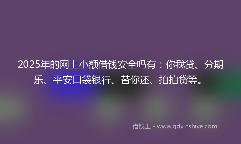 2025年的网上小额借钱安全吗有：你我贷、分期乐、平安口袋银行、替你还、拍拍贷等。