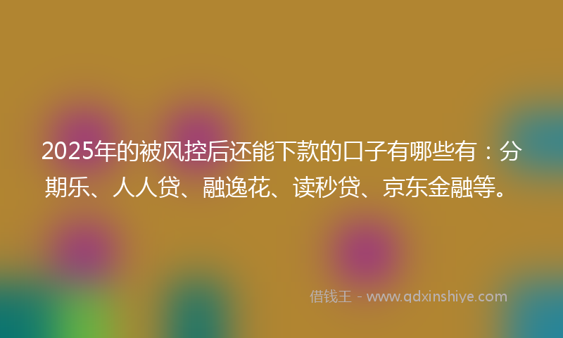 2025年的被风控后还能下款的口子有哪些有：分期乐、人人贷、融逸花、读秒贷、京东金融等。