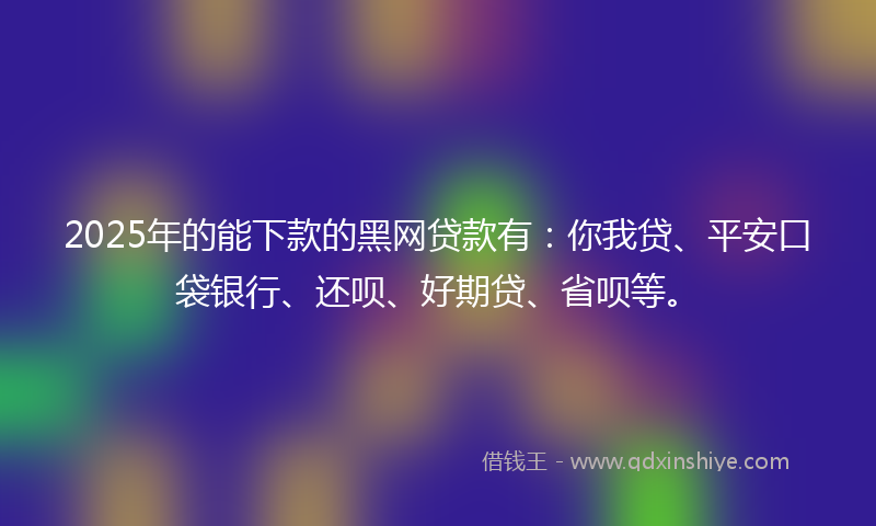 2025年的能下款的黑网贷款有：你我贷、平安口袋银行、还呗、好期贷、省呗等。