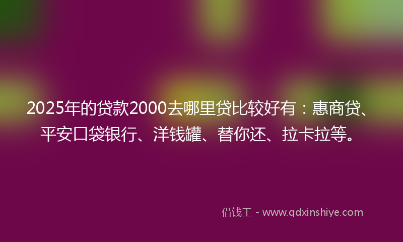 2025年的贷款2000去哪里贷比较好有：惠商贷、平安口袋银行、洋钱罐、替你还、拉卡拉等。