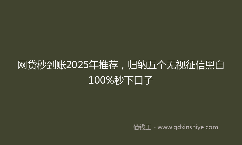 网贷秒到账2025年推荐，归纳五个无视征信黑白100%秒下口子