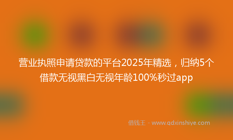 营业执照申请贷款的平台2025年精选，归纳5个借款无视黑白无视年龄100%秒过app