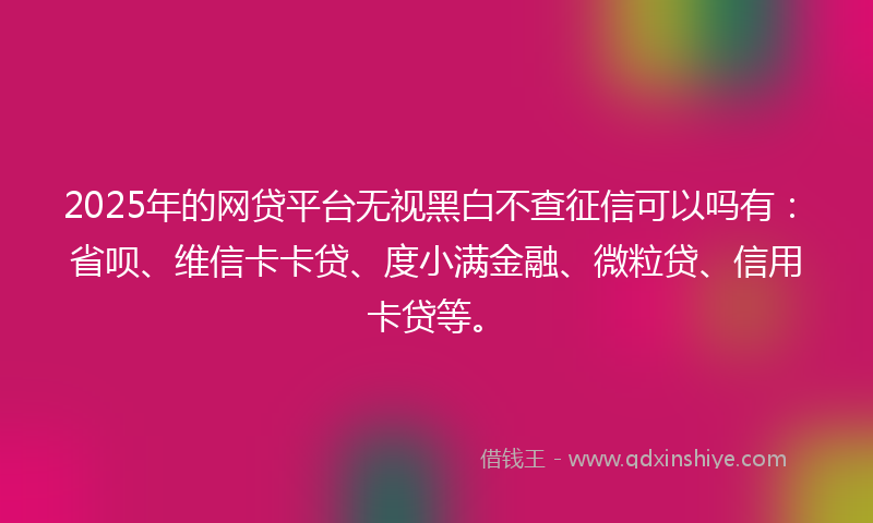 2025年的网贷平台无视黑白不查征信可以吗有：省呗、维信卡卡贷、度小满金融、微粒贷、信用卡贷等。