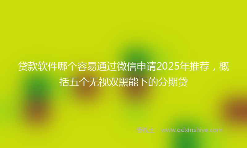 贷款软件哪个容易通过微信申请2025年推荐，概括五个无视双黑能下的分期贷