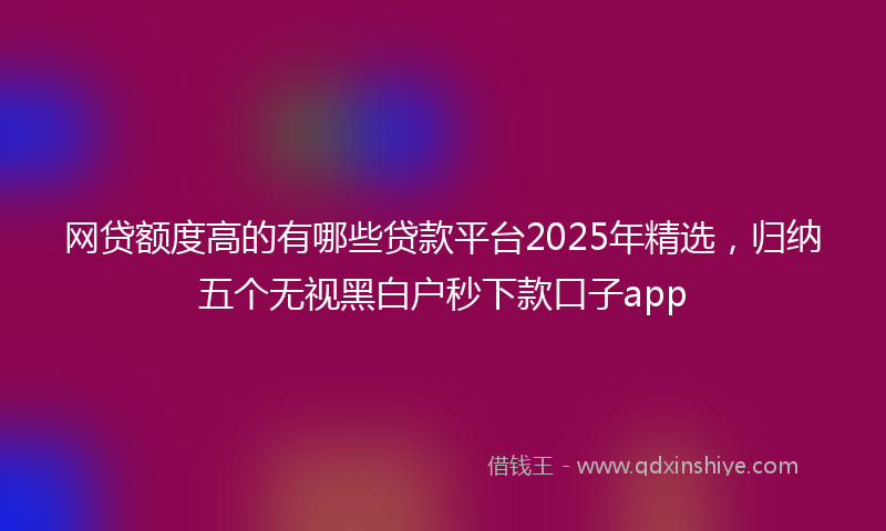 网贷额度高的有哪些贷款平台2025年精选，归纳五个无视黑白户秒下款口子app