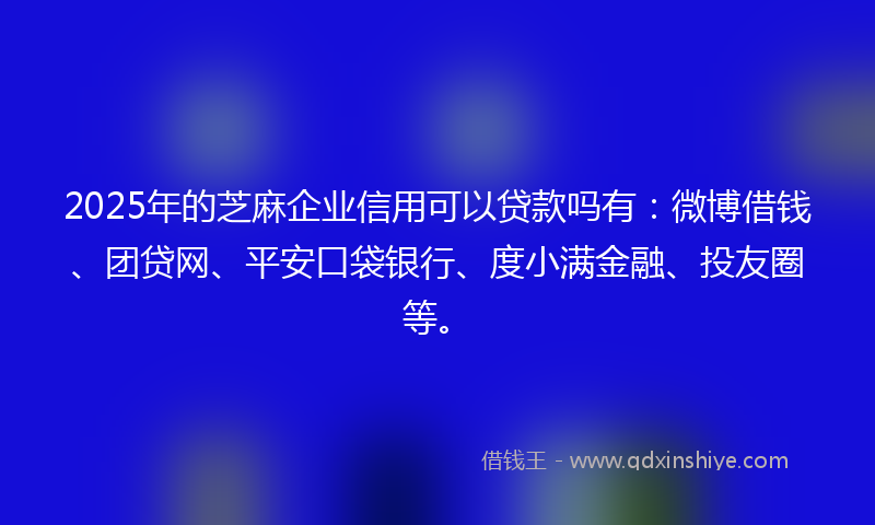 2025年的芝麻企业信用可以贷款吗有：微博借钱、团贷网、平安口袋银行、度小满金融、投友圈等。
