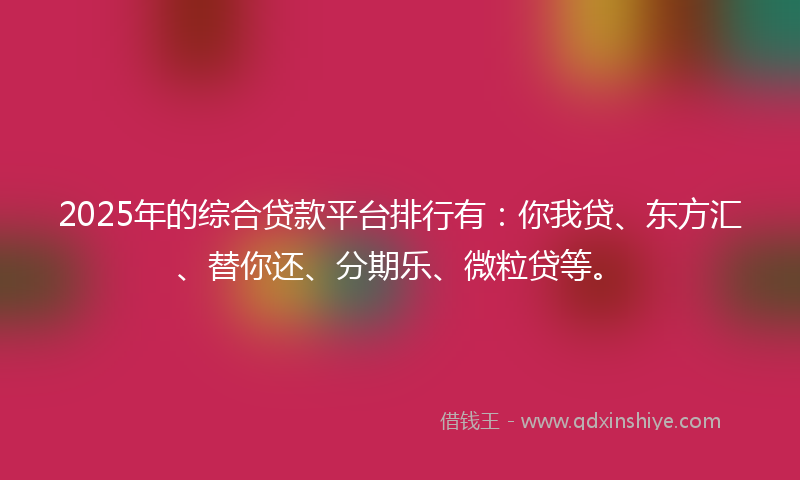 2025年的综合贷款平台排行有：你我贷、东方汇、替你还、分期乐、微粒贷等。