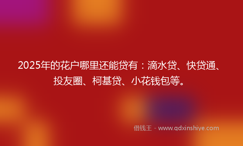 2025年的花户哪里还能贷有：滴水贷、快贷通、投友圈、柯基贷、小花钱包等。