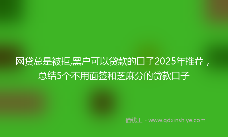 网贷总是被拒,黑户可以贷款的口子2025年推荐，总结5个不用面签和芝麻分的贷款口子