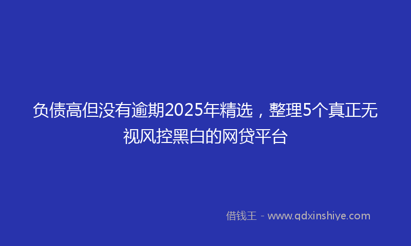 负债高但没有逾期2025年精选，整理5个真正无视风控黑白的网贷平台