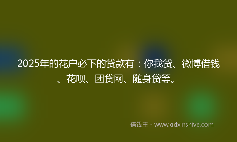 2025年的花户必下的贷款有：你我贷、微博借钱、花呗、团贷网、随身贷等。