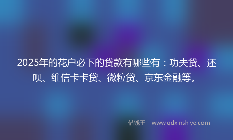 2025年的花户必下的贷款有哪些有:功夫贷、还呗、维信卡卡贷、微粒贷、京东金融等。