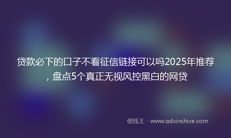 贷款必下的口子不看征信链接可以吗2025年推荐，盘点5个真正无视风控黑白的网贷