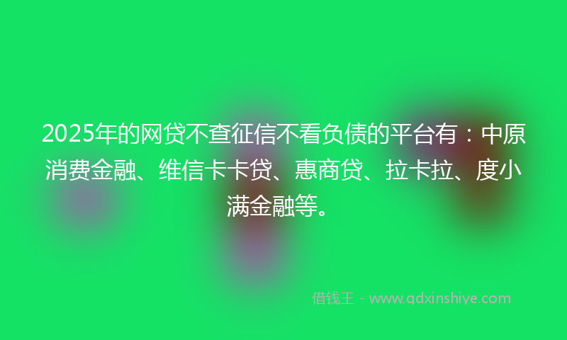 2025年的网贷不查征信不看负债的平台有：中原消费金融、维信卡卡贷、惠商贷、拉卡拉、度小满金融等。