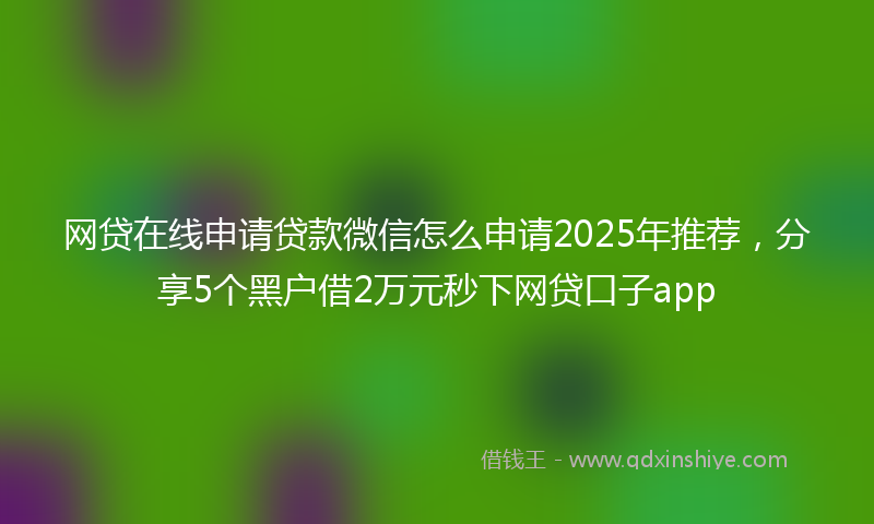 网贷在线申请贷款微信怎么申请2025年推荐，分享5个黑户借2万元秒下网贷口子app