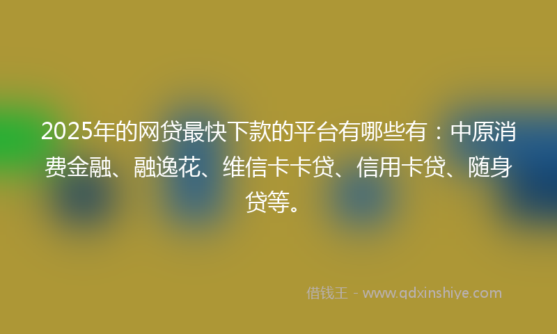 2025年的网贷最快下款的平台有哪些有：中原消费金融、融逸花、维信卡卡贷、信用卡贷、随身贷等。