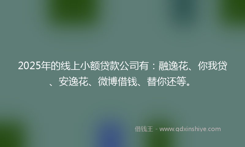 2025年的线上小额贷款公司有：融逸花、你我贷、安逸花、微博借钱、替你还等。
