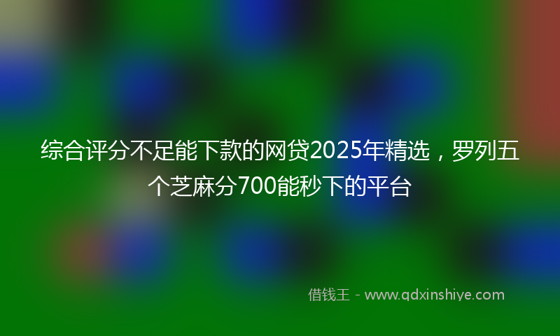 综合评分不足能下款的网贷2025年精选，罗列五个芝麻分700能秒下的平台