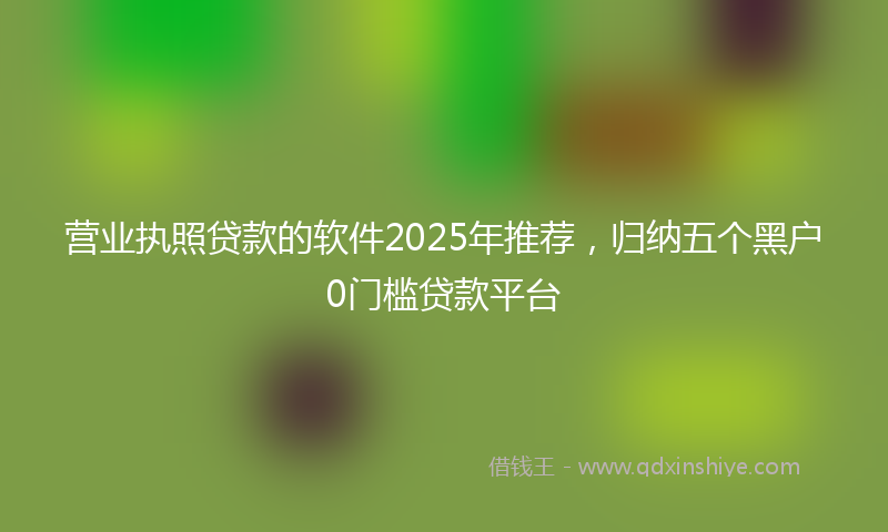 营业执照贷款的软件2025年推荐，归纳五个黑户0门槛贷款平台