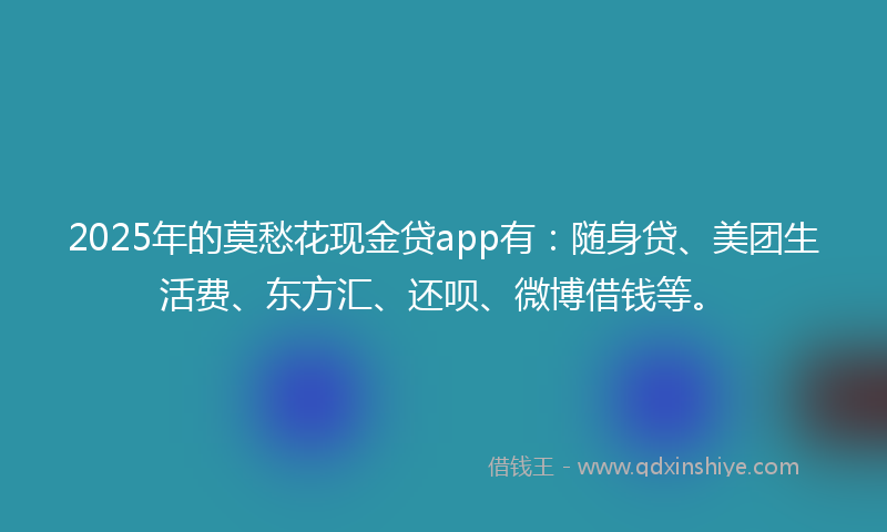 2025年的莫愁花现金贷app有：随身贷、美团生活费、东方汇、还呗、微博借钱等。