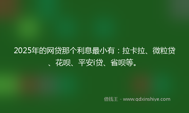 2025年的网贷那个利息最小有：拉卡拉、微粒贷、花呗、平安i贷、省呗等。