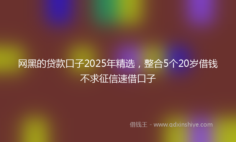 网黑的贷款口子2025年精选，整合5个20岁借钱不求征信速借口子