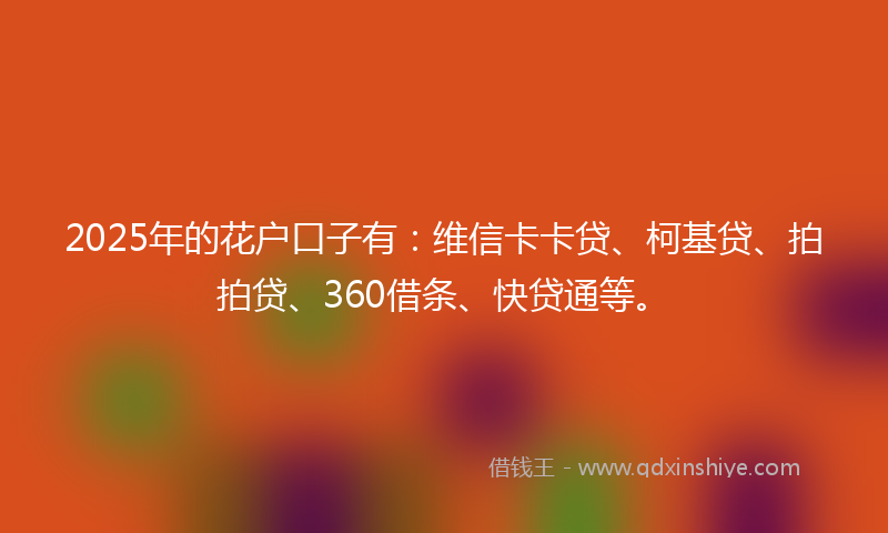 2025年的花户口子有：维信卡卡贷、柯基贷、拍拍贷、360借条、快贷通等。