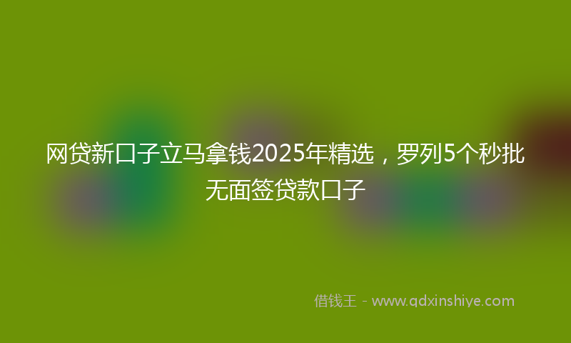 网贷新口子立马拿钱2025年精选，罗列5个秒批无面签贷款口子