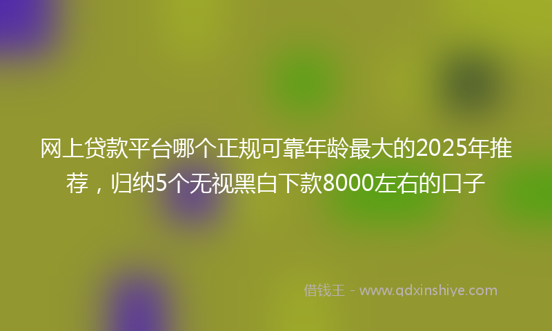 网上贷款平台哪个正规可靠年龄最大的2025年推荐，归纳5个无视黑白下款8000左右的口子