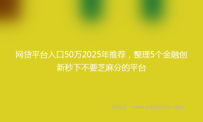 网贷平台入口50万2025年推荐，整理5个金融创新秒下不要芝麻分的平台