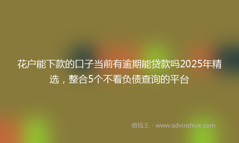 花户能下款的口子当前有逾期能贷款吗2025年精选，整合5个不看负债查询的平台