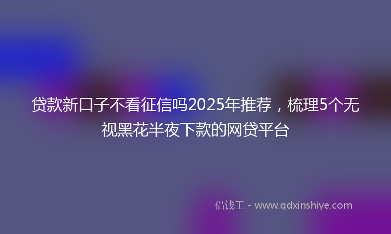贷款新口子不看征信吗2025年推荐，梳理5个无视黑花半夜下款的网贷平台
