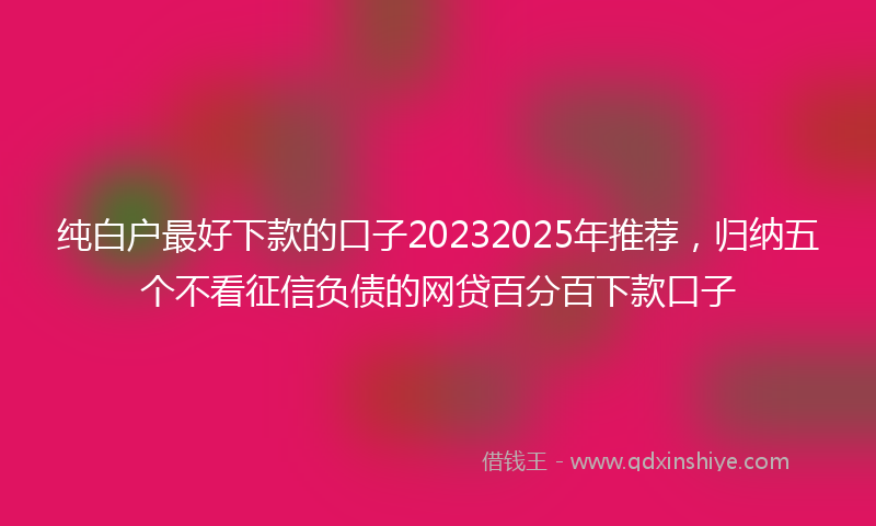 纯白户最好下款的口子20232025年推荐，归纳五个不看征信负债的网贷百分百下款口子
