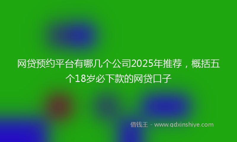 网贷预约平台有哪几个公司2025年推荐，概括五个18岁必下款的网贷口子